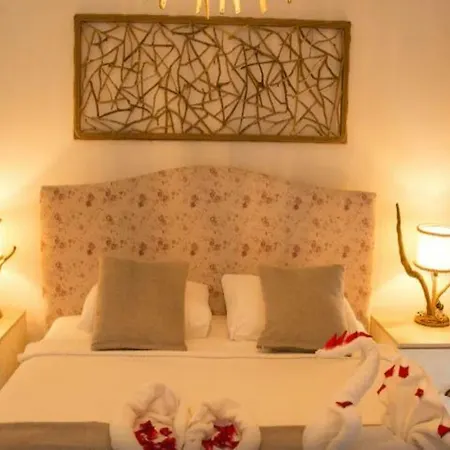 Z Exclusive And Hotell Öludeniz