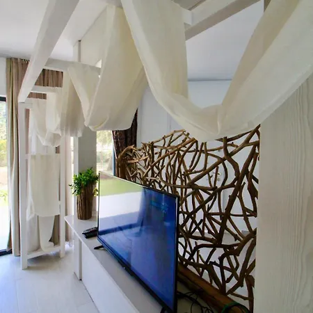 Z Exclusive And Hotell