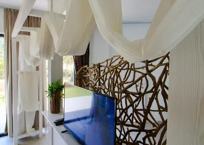 Z Exclusive And Hotell