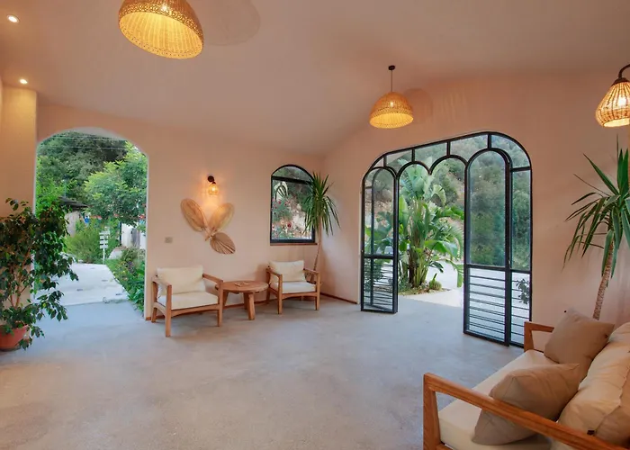 Z Exclusive And Öludeniz