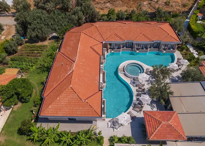 Z Exclusive And Hotell