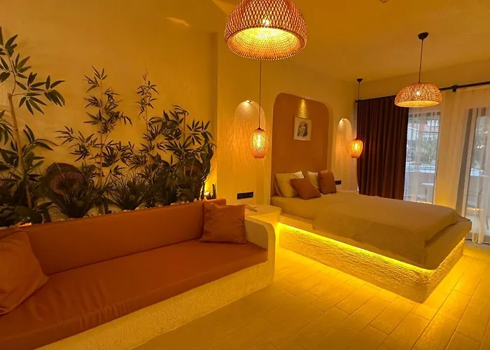 Z Exclusive And Hotell