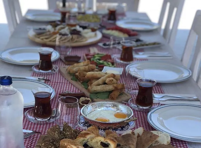 Z Exclusive And Hotell 3*