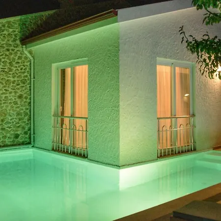 Z Exclusive And 厄吕代尼兹