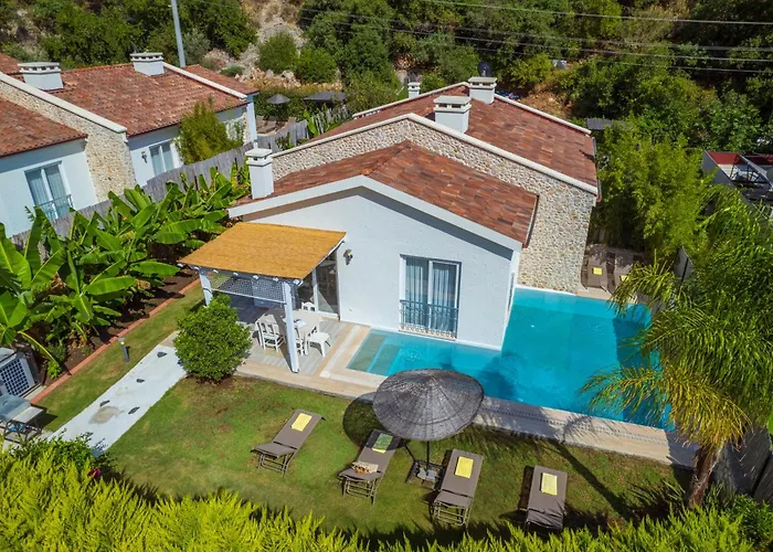 Отель Z Exclusive And