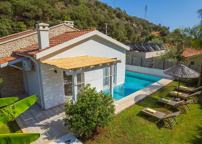 Отель Z Exclusive And 3*